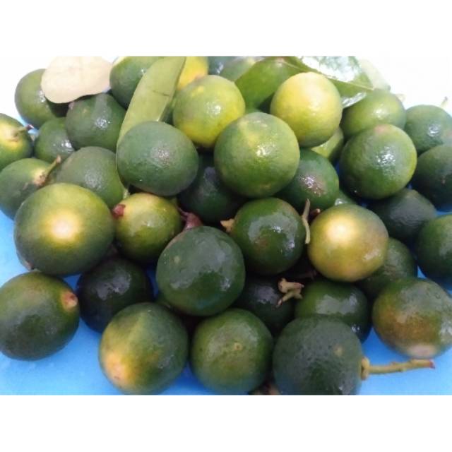 

Jeruk Kunci Bangka/ Lemon Cui Bangka Murah dan Fresh Harga Per 150 gram