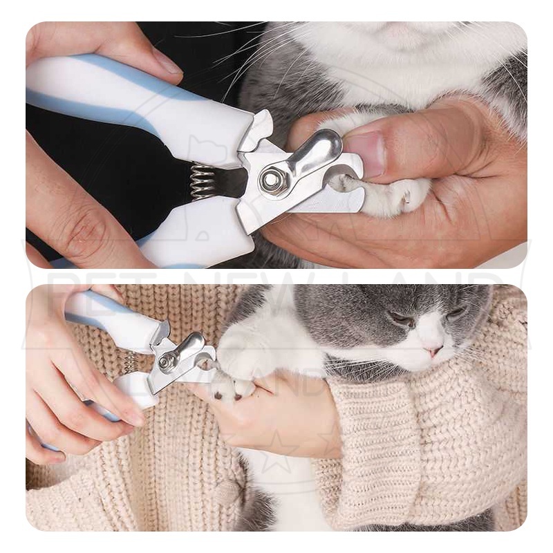 Gunting Kuku Dan Kikir Set Kucing Anjing Stainless Steel perawatan Kuku Grooming Hewan