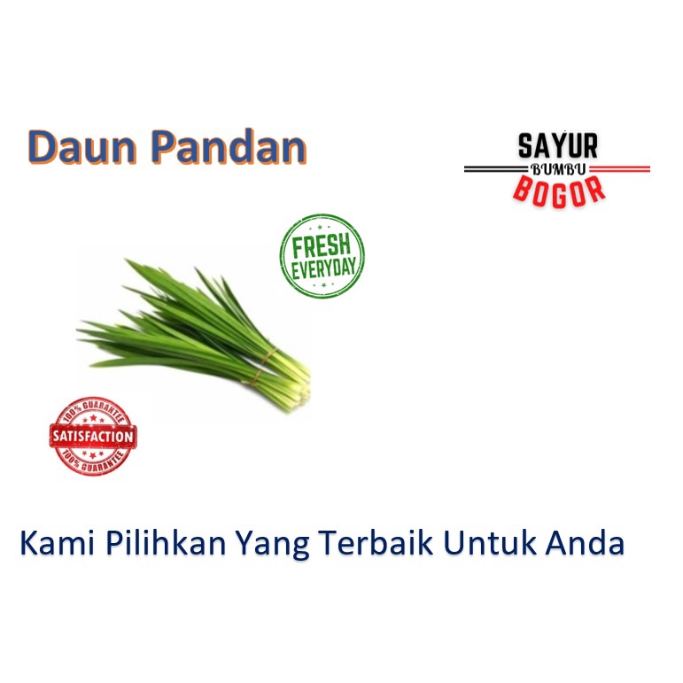 

Daun Pandan 1 Ikat / Daun Pandan Sayur / Pandan Wangi dan Segar