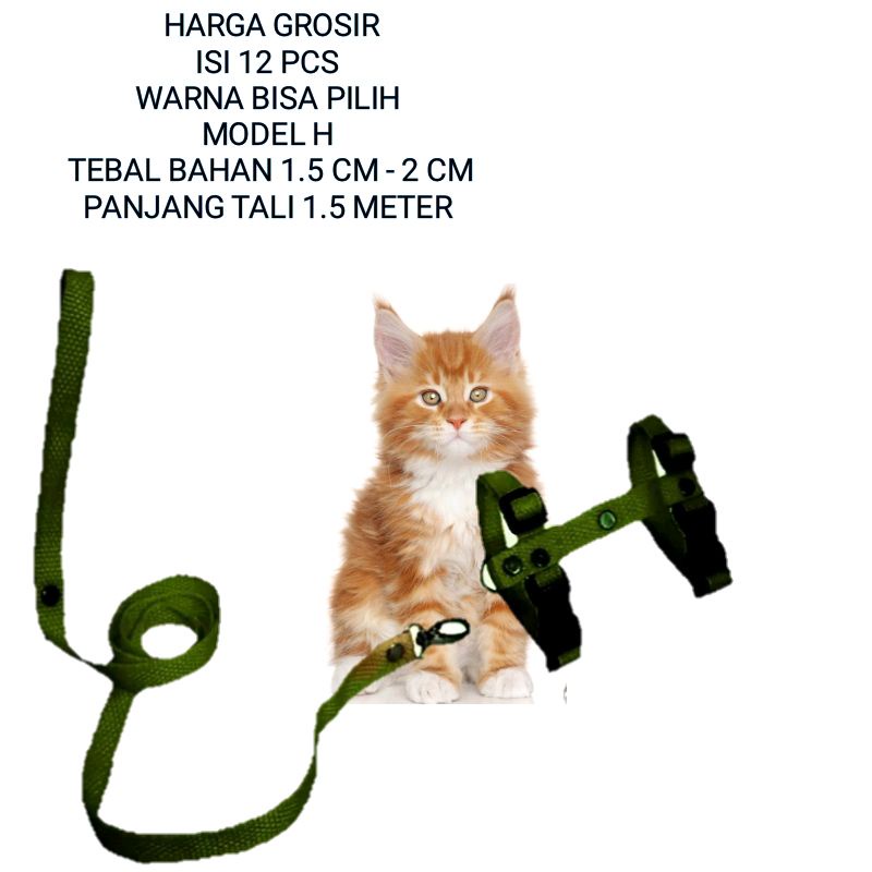 HARGA GROSIR TALI KUCING MODEL H HARNESS KUCING MURAH ISI 12 PCS HEMAT ONGKIR