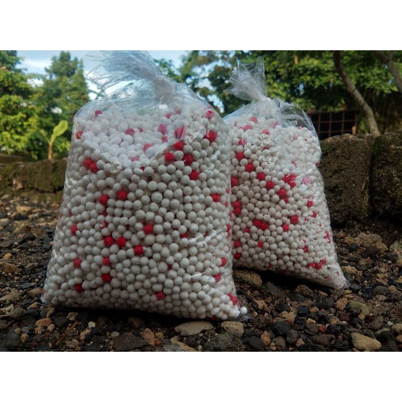 

PROMO..!! SAGU MUTIARA HIJAU 100 ASLI TANPA CAMPURAN BAHAN LAIN