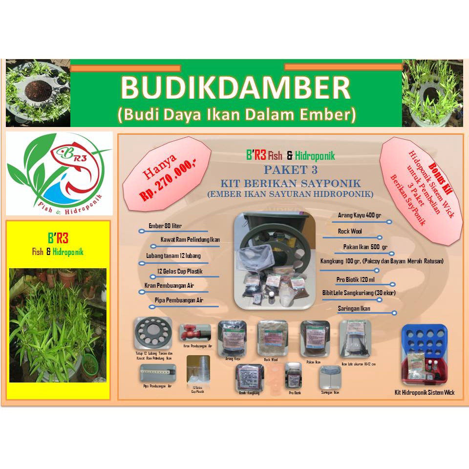 Budikdamber paket 3 Berikan Sayponik (Ember Ikan dan Sayuran Hidroponik)