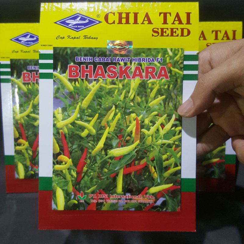 Benih Cabai Rawit Hibrida f1 BHASKARA