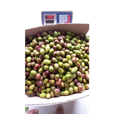 

BUAH MATOA (500gr)