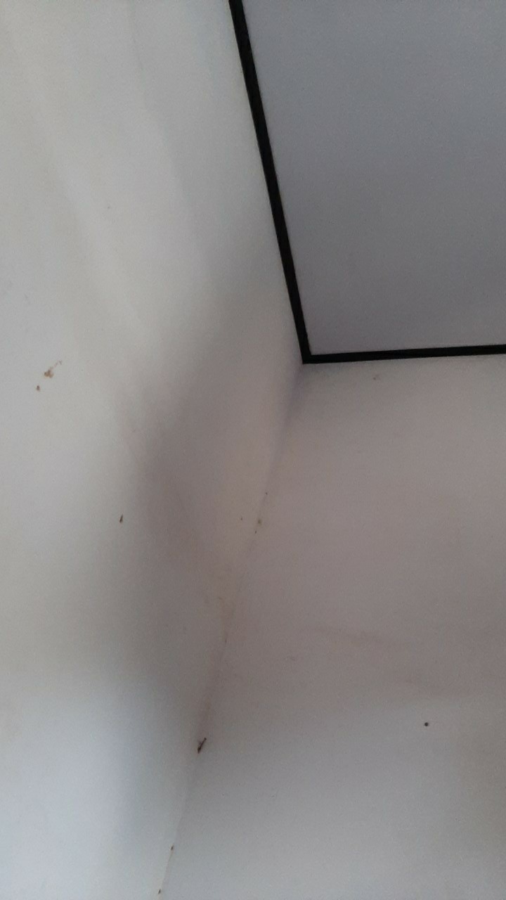 [checkout Rp1000] 1pcs Kitchen High Density Sponge Dishwash Wipe Fiber Scouring Pad/bowl Pot Scouring Supplies Clean Rub Cleaning Tools