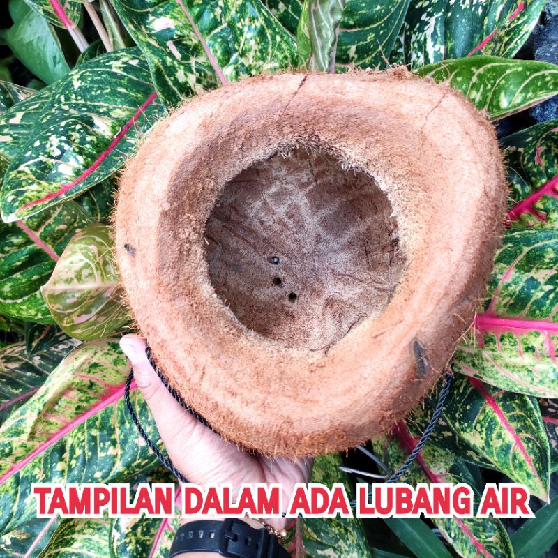 Pot Hias/ Pot Unik/ Hiasan Gantung/ Pot Bunga Gantung Batok Kelapa Motif