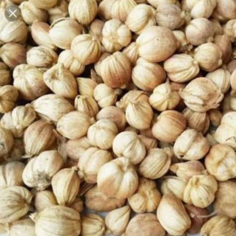 

Kalpulaga Kering 100 gram