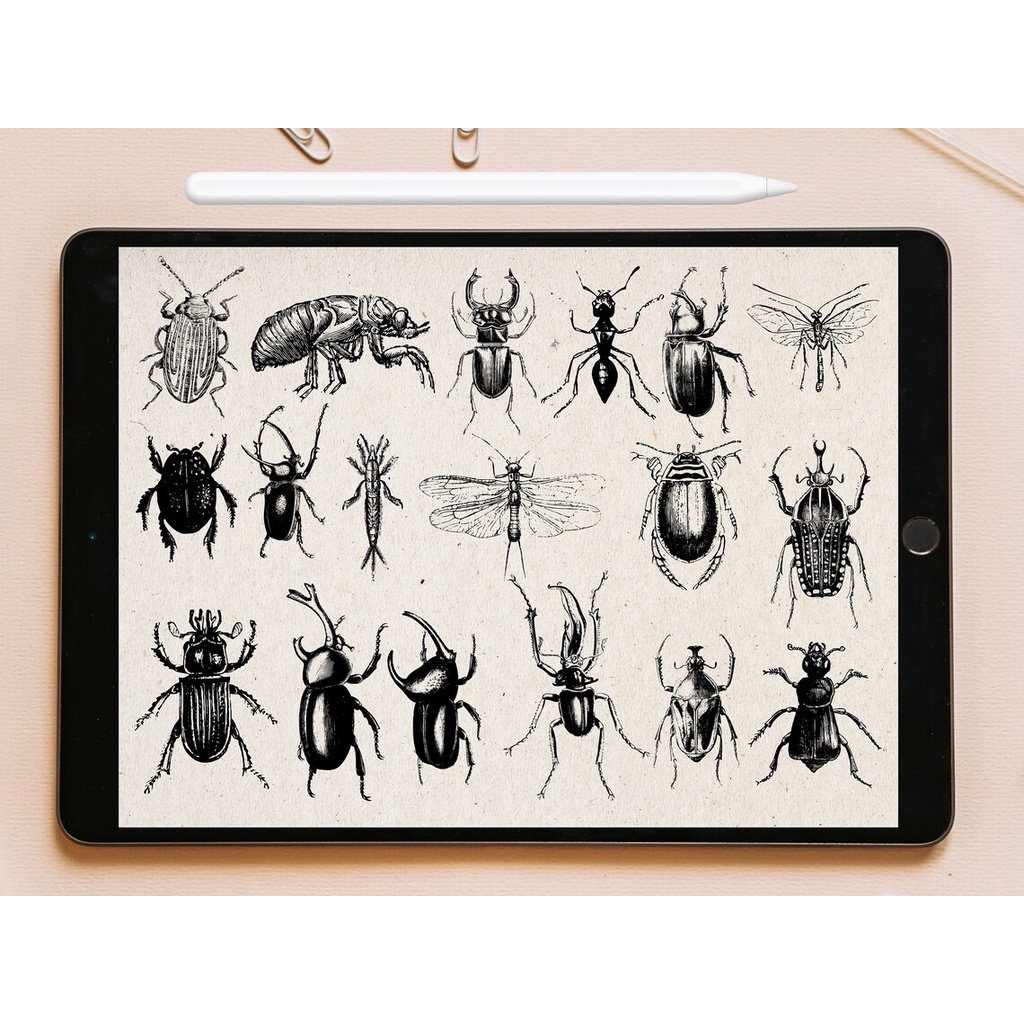 Procreate Brush - Insect Stamp Brushes for Procreate