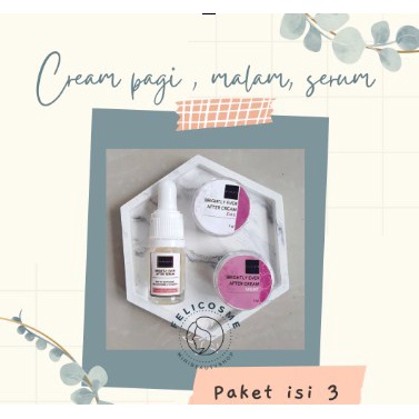 PROMO (COD) Paket Cream Wajah Whitening Brightly/Acne Mini