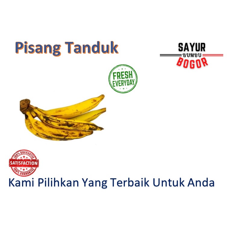 

Pisang Tanduk Perbiji / Pisang Bagus / Pisang Murah