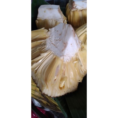 

Buah Nangka 1potong