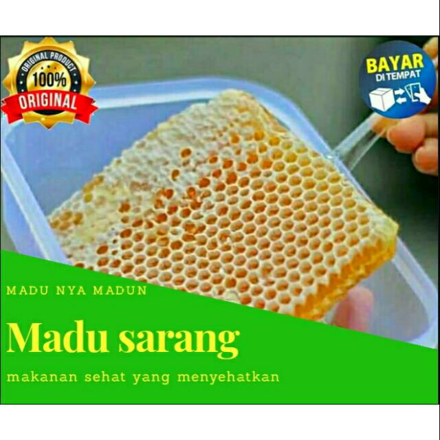 

Madu Sarang Apis Cerana