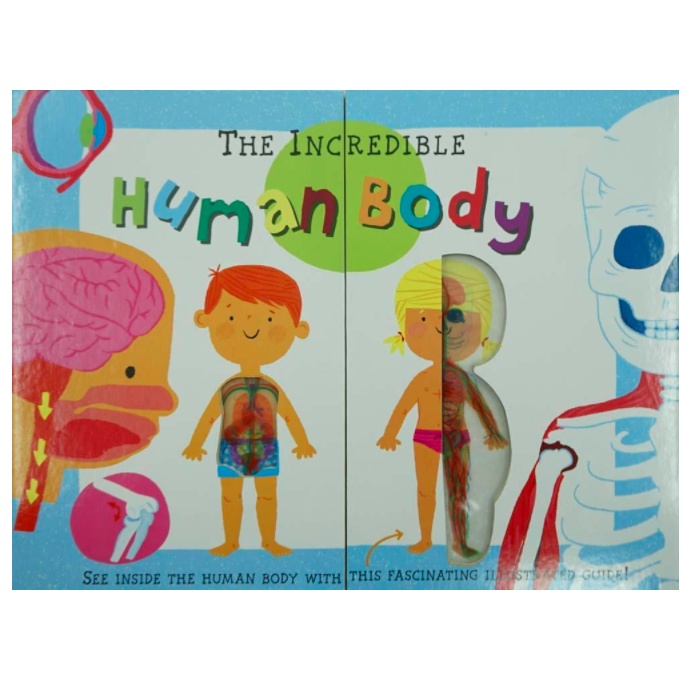 MY FIRST BOOK OF THE HUMAN BODY