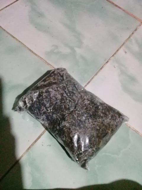 Polybag Putih 25 X 25