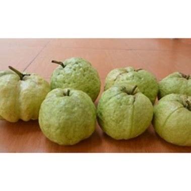 

Jambu Kristal