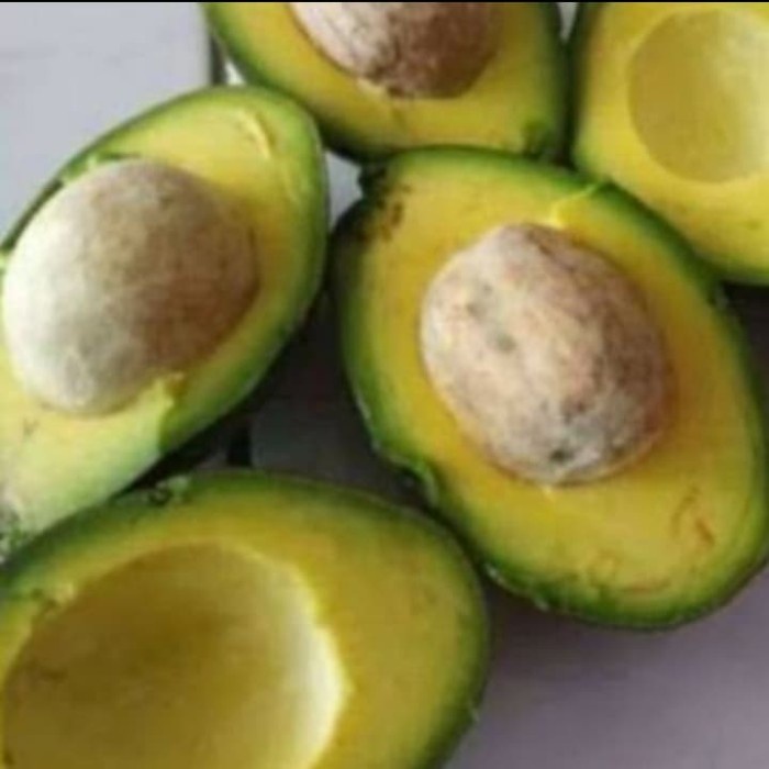 

alpukat matang siap makan 1kg/alpukat matang