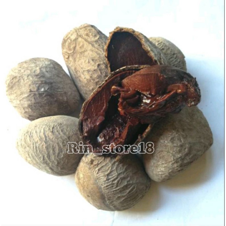 

kluwek, kluak, kepayang, picung 500gr