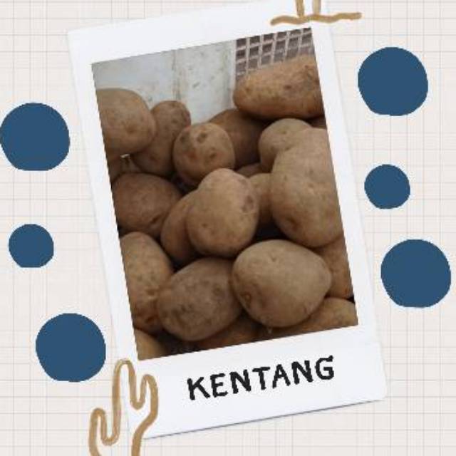 

Kentang segar