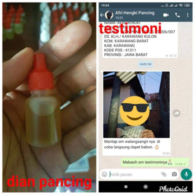 Esen Walang Sangit / Essen Lumut Buat Jaer + Nila Isi 10 Ml