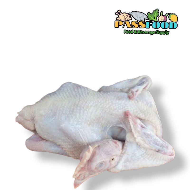 

ayam utuh segar 1.3kg