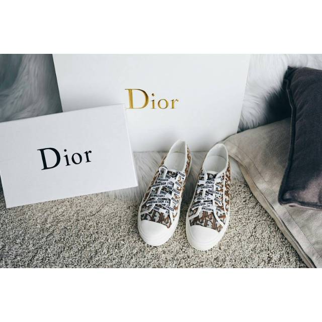 dior walk n dior