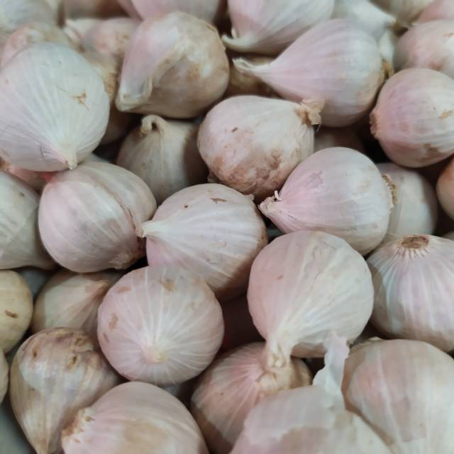 

Bawang Putih Tunggal 250 gr