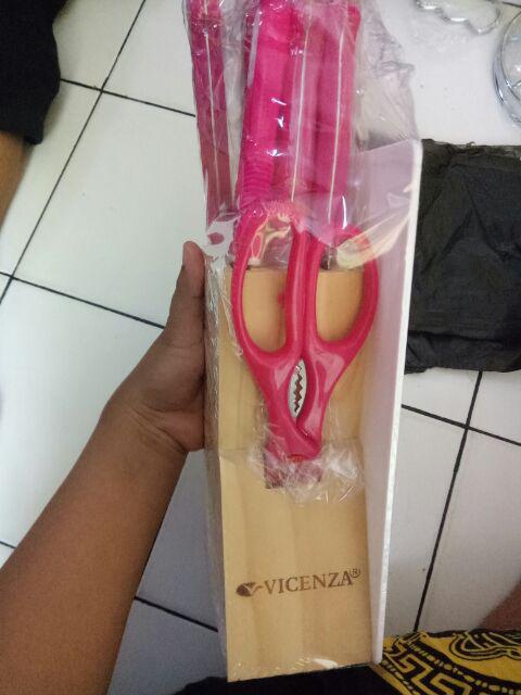 Vicenza  V920 Pisau Set Gagang Warna