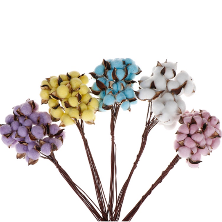 KB15 BUNGA KAPAS KERING / DRIED COTTON FLOWER ECER PER TANGKAI BUNGA HIAS [1KG=171PCS]