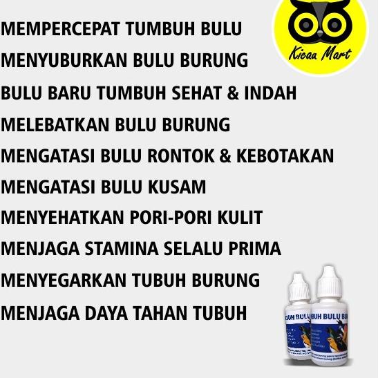 PTMX PENUMBUH BULU BURUNG SEMPATI OBAT CABUT BULU RONTOK KUSAM BOTAK UNTUK MURAI KACER LOVEBIRD OBNU