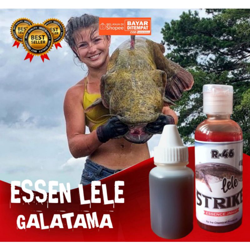 essen pancing jahat ikan lele essen r46 R-46 essence
