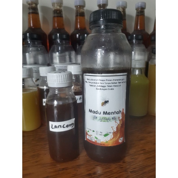 

[Raw Honey] Madu Mentah Klanceng Hutan 500 gram