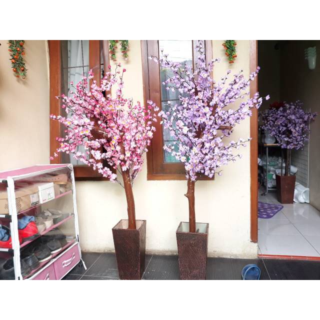 Pohon Sakura Bunga Sakura Cantik Pohon Hias Daun Hias Shopee