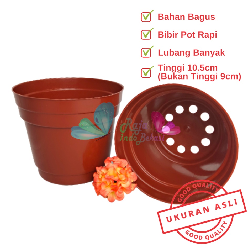 Pot 12 Cm Merah BataTerracota Terracotta Merah Coklat Polos - Pot 12 Hitam Kecil Mini Minimalis Plastik Kaktus Sukulen Mini Murah Pot Bibit Pembibitan