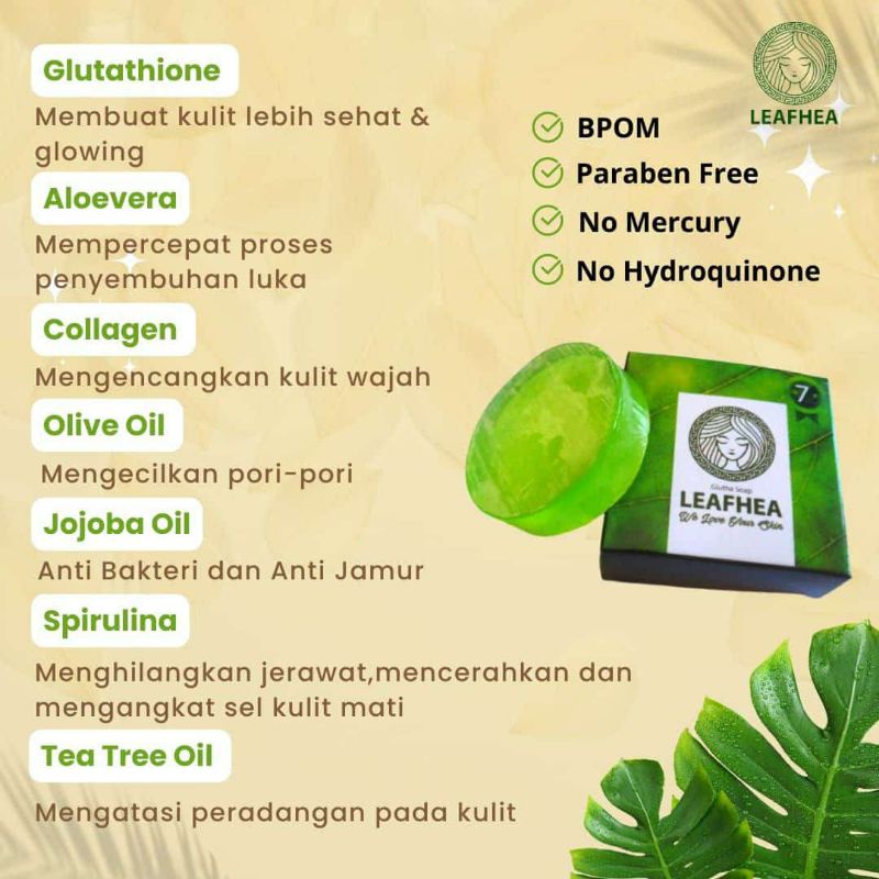 1 paket Leafhea