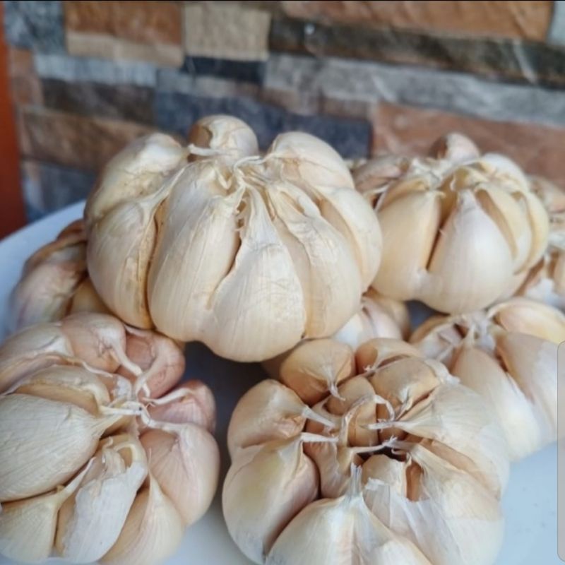 

Bawang putih honan / banci 1kg ( bersih + sortir ) free packing jaring + kardus