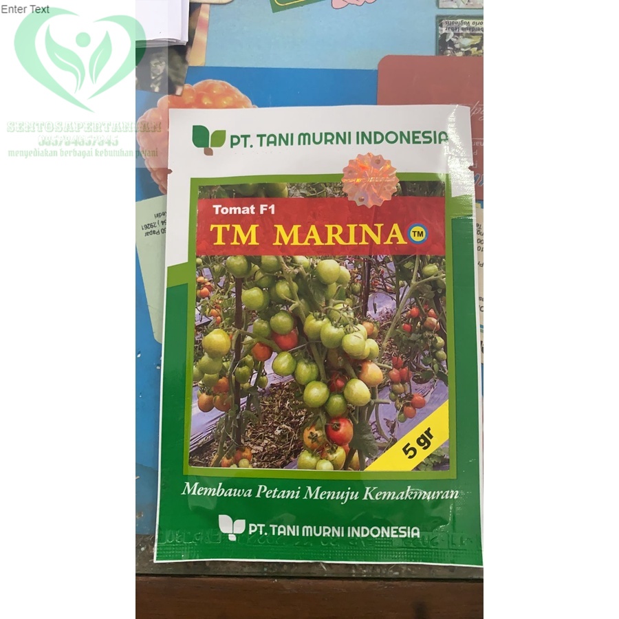 Benih Tomat Hibrida TM MARINA isi 5GR dari TANI MURNI INDONESIA