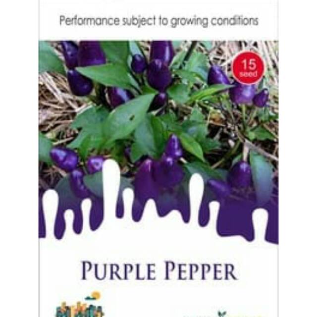 

PURPLE PEPPER isi 15 biji