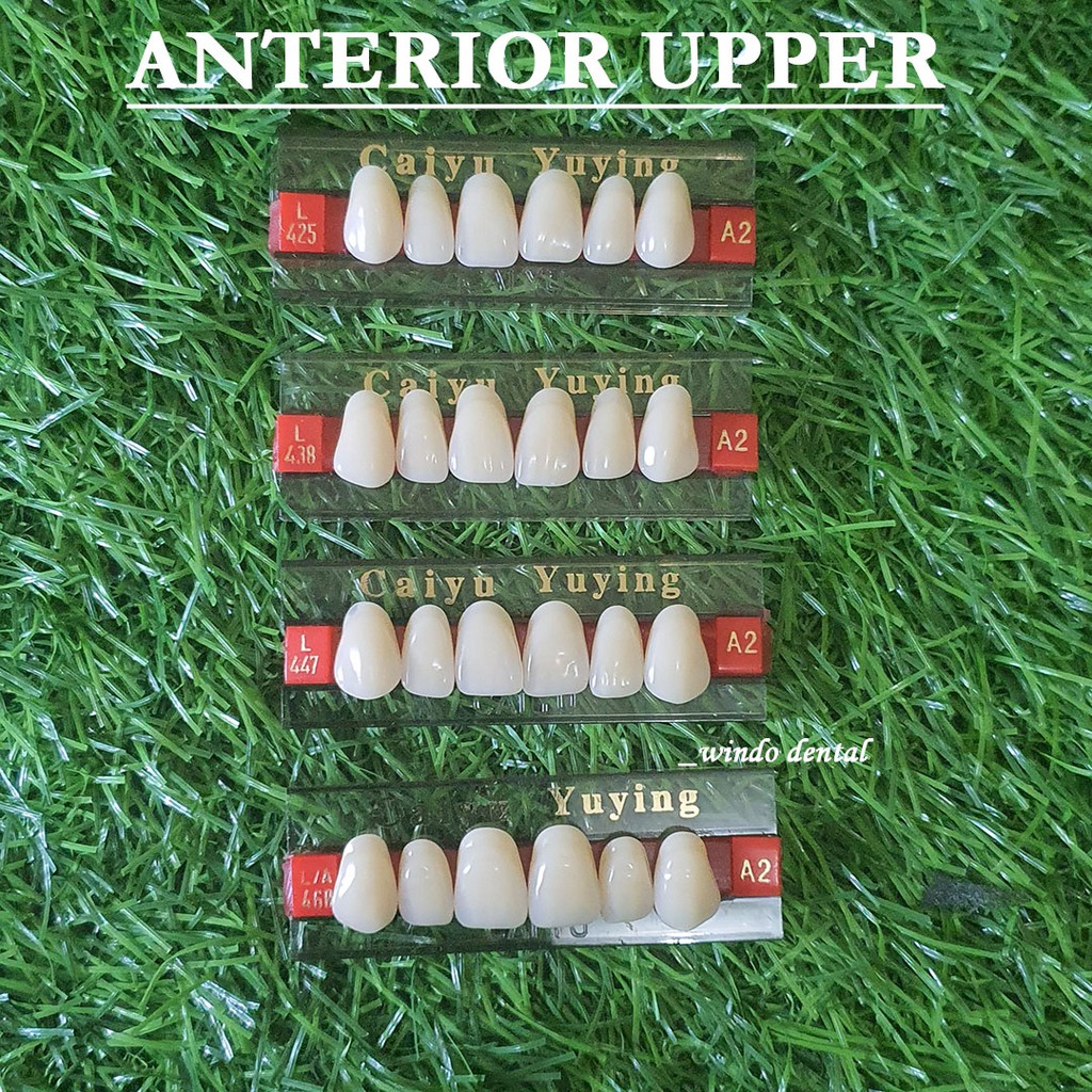 DENTAL 1 BOX GIGI PALSU ANTERIOR UPPER DEPAN ATAS