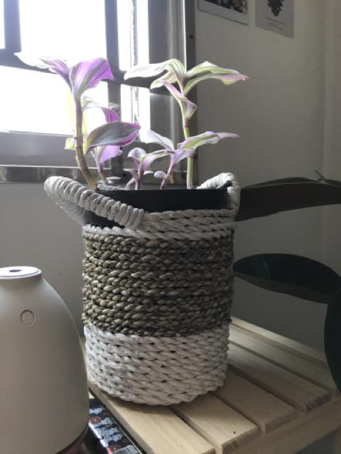 Keranjang Meja Set Isi 3pc White Anyaman Cover Pot Tanaman/scandynavian