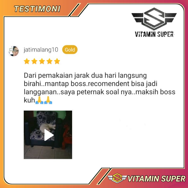 Vitamin Kucing B1 100% Ampuh | Vitamin Kesuburan, Bulu Berkilau, Pertumbuhan, Penyembuh Luka, Sakit Mata Kucing, Sakit Ginjal, Gemukin dan Masalah Kulit