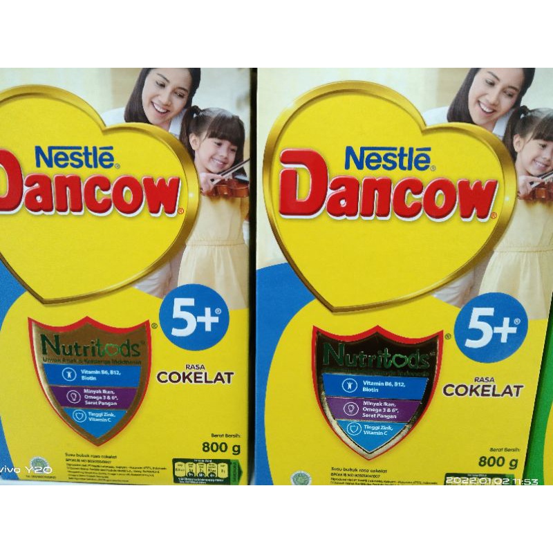 

Dancow 5+
