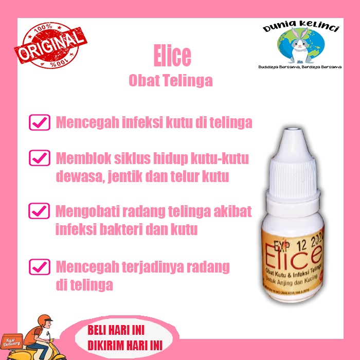 Obat Kutu Infeksi Radang Telinga Kucing ELICE Earmites Anjing