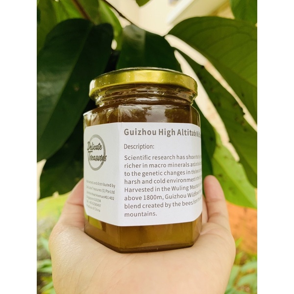 

Madu Multiflora Wildflower dr Guizhou ( Madu Bunga liar) High Altitude Honey, Madu premium, Madu Multifloral, Madu alami, Madu sehat, Antioksidan, Daya tahan Tubuh, Tidak mudah sakit