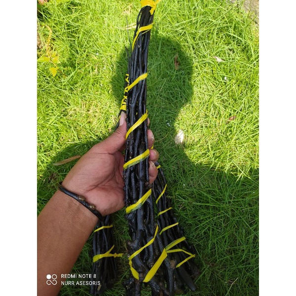 Bahan Gelang Akar Bahar Hitam Kantoran
