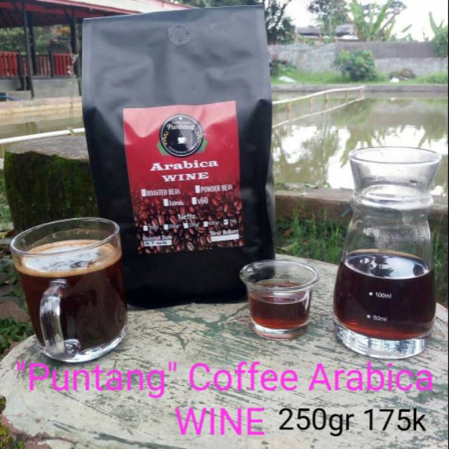 

PUNTANG KOPI ARABICA
