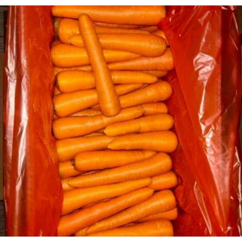 

wortel import berastagi