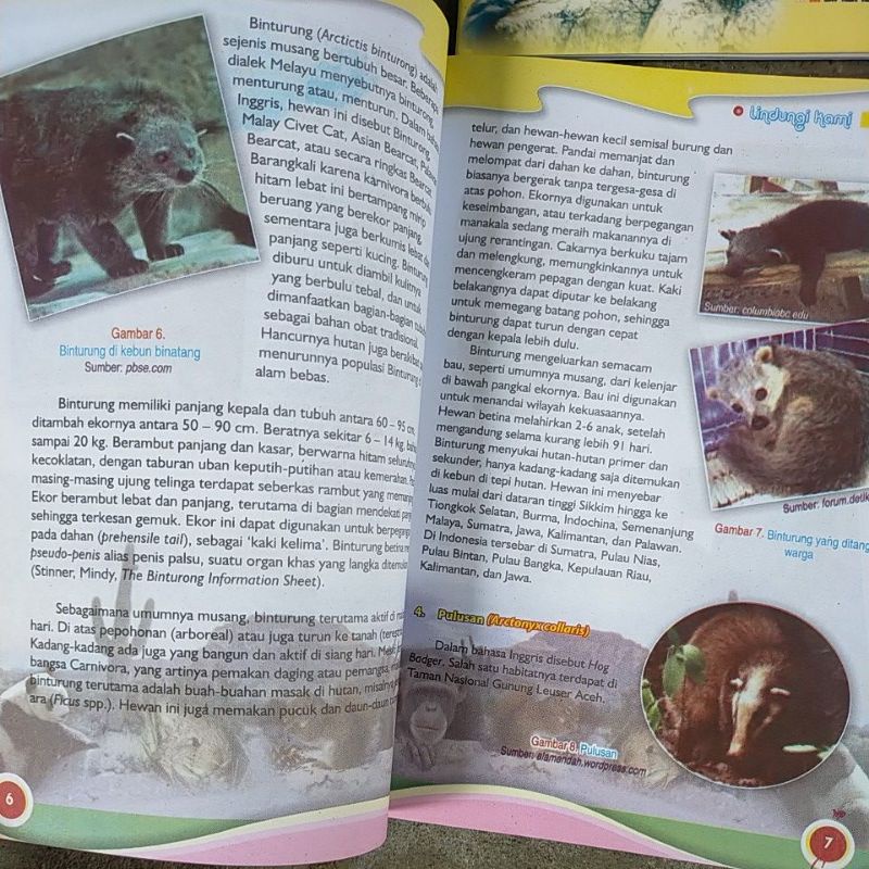 buku pengetahuan, ensiklopedia, pengayaan, fiksi non fiksi,dan buku anak  murah-3