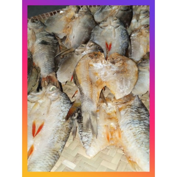 

ikan asin belana ikan jelawat piyam net 500g