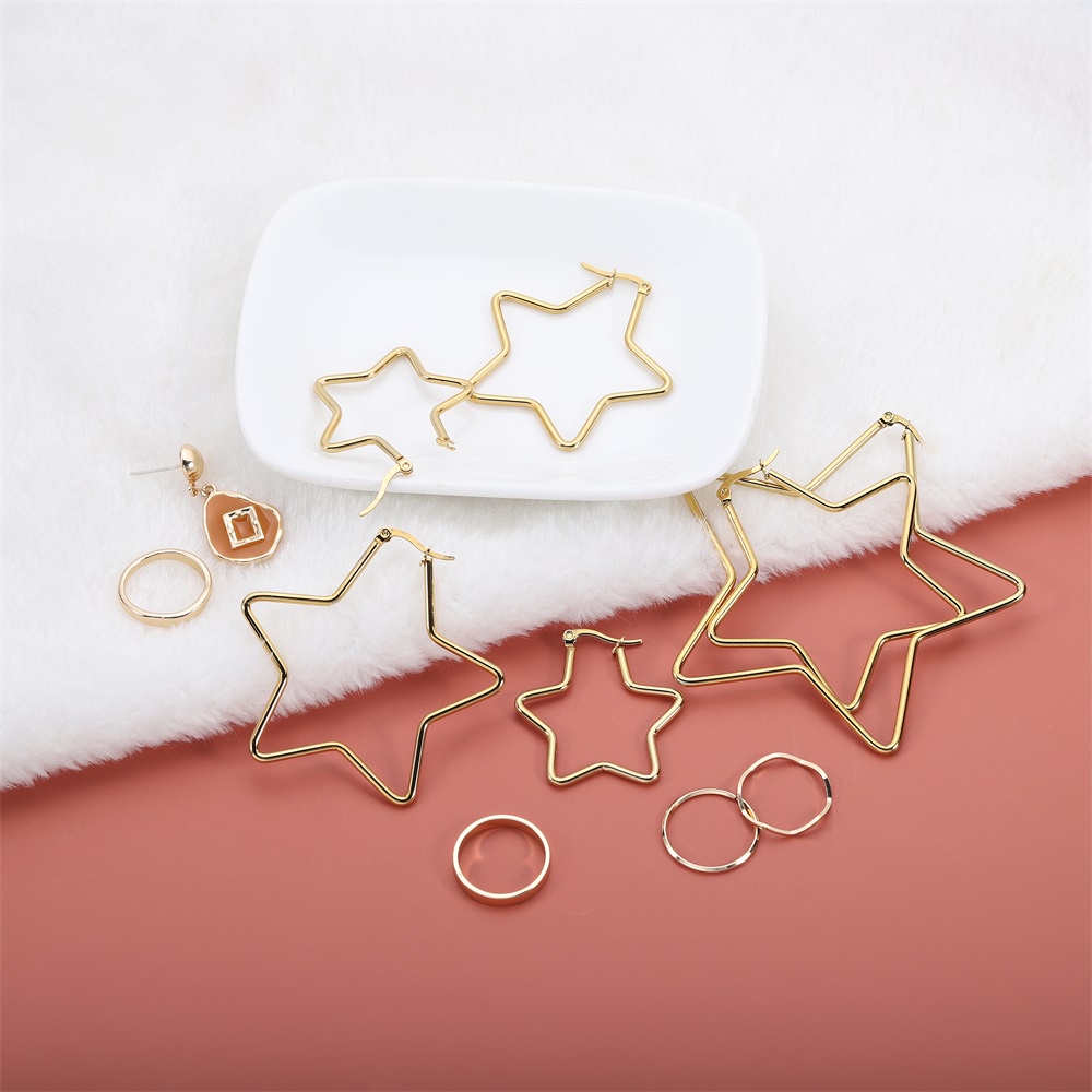 6pcs Anting-anting pengait telinga stainless steel bintang