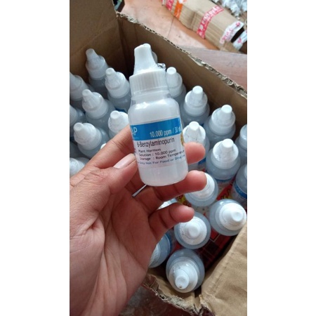 hormon 6-bap biru original